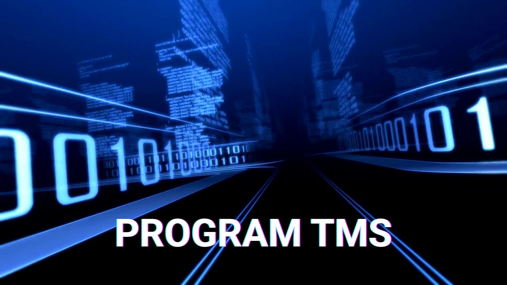 Program Tms Speed Program TMS dla Przewoźnika